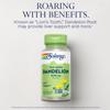 Solaray Dandelion Root Capsules, 520 mg, 100 Count view 3