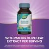 Olive Leaf Standardized 20% Oleuropein - 60 Vegetarian Capsules by Nature's Way view 4