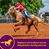 Horse Health Apple-Dex 5 lb view 2