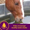 Horse Health Apple-Dex 5 lb view 4