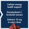 Life Extension Forskolin Capsules (10 mg) 60-Count view 4