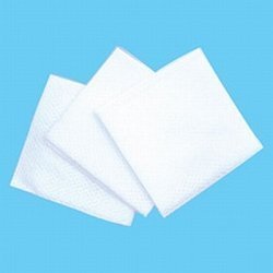 Fantasea 2X2 Non-Woven Wipes / 200/Pack (FSC504)