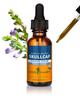 Herb Pharm Skullcap Liquid Herbal Extract - 1 fl oz view 1