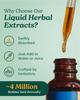 Herb Pharm Skullcap Liquid Herbal Extract - 1 fl oz view 3