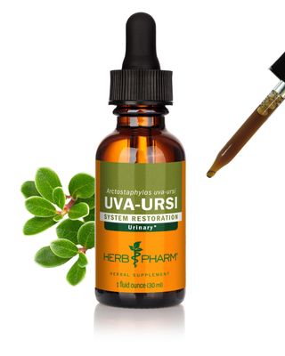 Herb Pharm Uva Ursi Extract for Urinary System Support - 1 Ounce