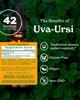 Herb Pharm Uva Ursi Extract for Urinary System Support - 1 Ounce view 2