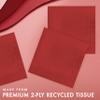 Creative Converting Touch of Color 2-Ply Paper Lunch Napkins, 50-Count, Classic Red view 2