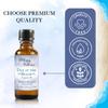 Abbey & Sullivan Fragrance Oil, Day at the Beach, 1 oz. view 3