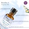 Abbey & Sullivan Fragrance Oil, Day at the Beach, 1 oz. view 4