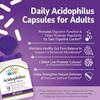 21st Century, Acidophilus Probiotic Blend, 100 Capsules view 2