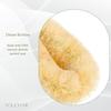 All Natural Spa 9 Inch Dry Skin Brush view 2