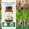 A TATA Product - Organic India Osteoseal 60 Capsule - Bio-available Calcium, Phosphorus & Amino Acids, Helps Increase Bone Mineral Density, Healthy Bone & Teeth GMP & NPOP Certified Organic view 3