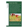 Traditional Medicinals Organic Roasted Dandelion Root Tea - Caffeine Free - 16 Bags - HSG-670398 view 3
