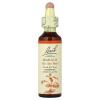 Bach Mimulus (1x20 ML) view 1
