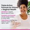 vH essentials Probiotics with Prebiotics and Cranberry Feminine Health Supplement, 60 Count view 2