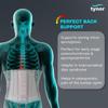 TYNOR Lumbo Sacral Belt, Grey, XXL, 1 Unit view 2