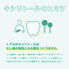 Lotte Xylitol Gum Fresh Mint Family Bottle 133g | Made in Japan | Chewing Gum | Japan Import view 3