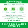 Lotte ACUO Green Mint Big Bottle 140g | Made in Japan | Chewing Gum view 4