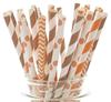 Food with Fashion Thanksgiving Straws, Orange & Brown Celebration Straws, Paper Drinking Straws (25 Pack) - Autumn Fall Harvest Thanksgiving Dinner Straws view 1