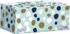 SELPAK Facial Tissue Box Maxi view 2