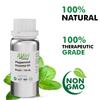 Allin Exporters Peppermint Essential Oil Natural Ideal for Aromatherapy & Aroma Diffusers Eliminate Foul Odours Therapeutic Grade for Skin (100 ML) view 4