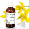 Allin Exporters Ylang Ylang Essential Oil Perfect for Aromatherapy Skincare Haircare Stress Relief Use in Diffuser or Directly (50 ML) view 1