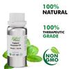 Allin Exporters Cajeput Oil - 100% Pure, Natural & Undiluted - 100 ML view 4