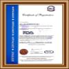 Allin Exporters Black Pepper Oil - 100% Pure, Natural & Undiluted - 50 ML view 2