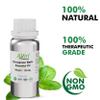 Allin Exporters Cinnamon Bark Oil 100% Natural, Pure & Therapeutic Grade for Skin, Acne, Face, Hair, Aromatherapy, Diffuser & Massage (100 ml) view 4