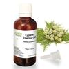 Allin Exporters Cypress Essential Oil Pure Natural, Undiluted 50ml view 1