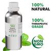 Allin Exporters Bergamot Essential Oil Undiluted & Pure Therapeutic Grade for Skincare Hair Nourishment & Aromatherapy Uplifts Mood (500ml) view 4