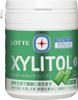 Lotte Xylitol Chewing Gum Family Bottle, 5.0 oz (143 g) | Lime Mint Flavor | Made in Japan | Chewing Gum | Japan Import view 1