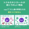 Lotte Xylitol Chewing Gum Family Bottle, 5.0 oz (143 g) | Lime Mint Flavor | Made in Japan | Chewing Gum | Japan Import view 3