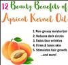 Aloe Veda Massage Oil - Apricot Kernel Oil, 200Ml view 2