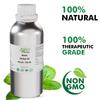 Allin Exporters Neem Oil Pure Natural Undiluted Carrier Therapeutic Grade for Moisturising Skin & Hair Growth (500 ML) view 4