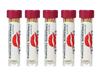 Cinnamon Toothpicks Tooth Pix - 5 Count view 2