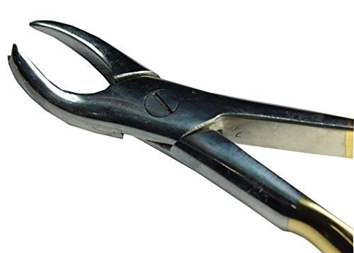ADDLER DENTAL COW HORN FORCEP GOLDEN HANDLE. LIFE TIME ANTI RUSTING WARRANTY.