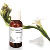 Allin Exporters Tuberose Oil, Pure Undiluted Therapeutic Grade, Steam Distilled for Aromatherapy and Skin Care - 15ml view 1