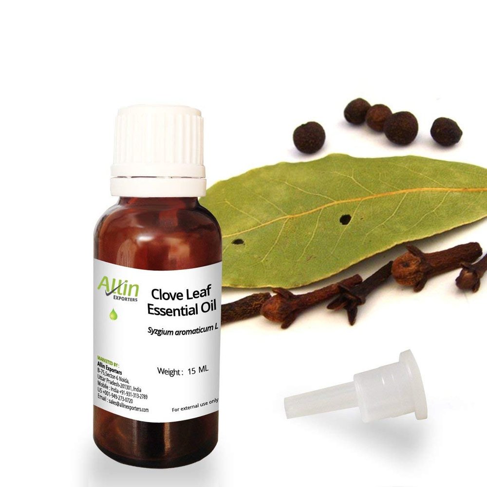 Allin Exporters Clove Leaf Essential Oil Pure, Natural & Undiluted Therapeutic Grade Ideal for Skincare (15ml)