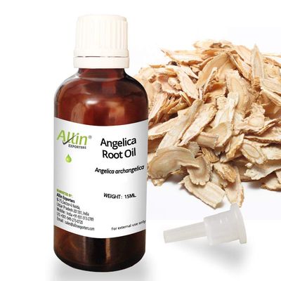 Allin Exporters Angelica Root Oil - 100% Pure, Natural & Undiluted - 15 ML