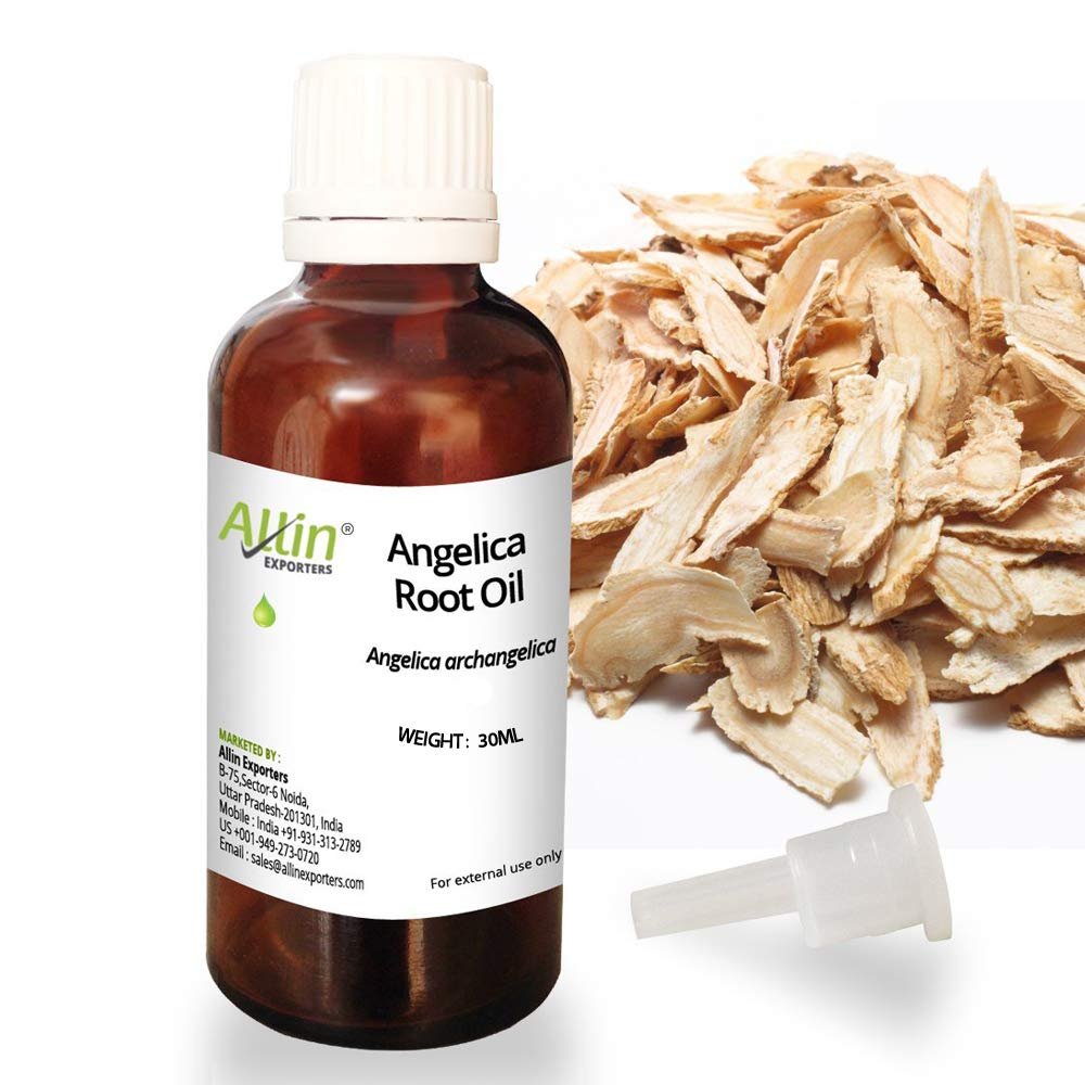 Allin Exporters Angelica Root Oil - 100% Pure, Natural & Undiluted - 30 ML