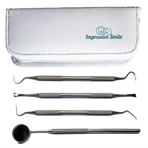 1 Dentist Tools Kit - A Grade Stainless Steel Dental Hygiene Set, Tarter Remover, Dental Pick, Dental Scraper, Mouth Mirror and FREE Protective Case