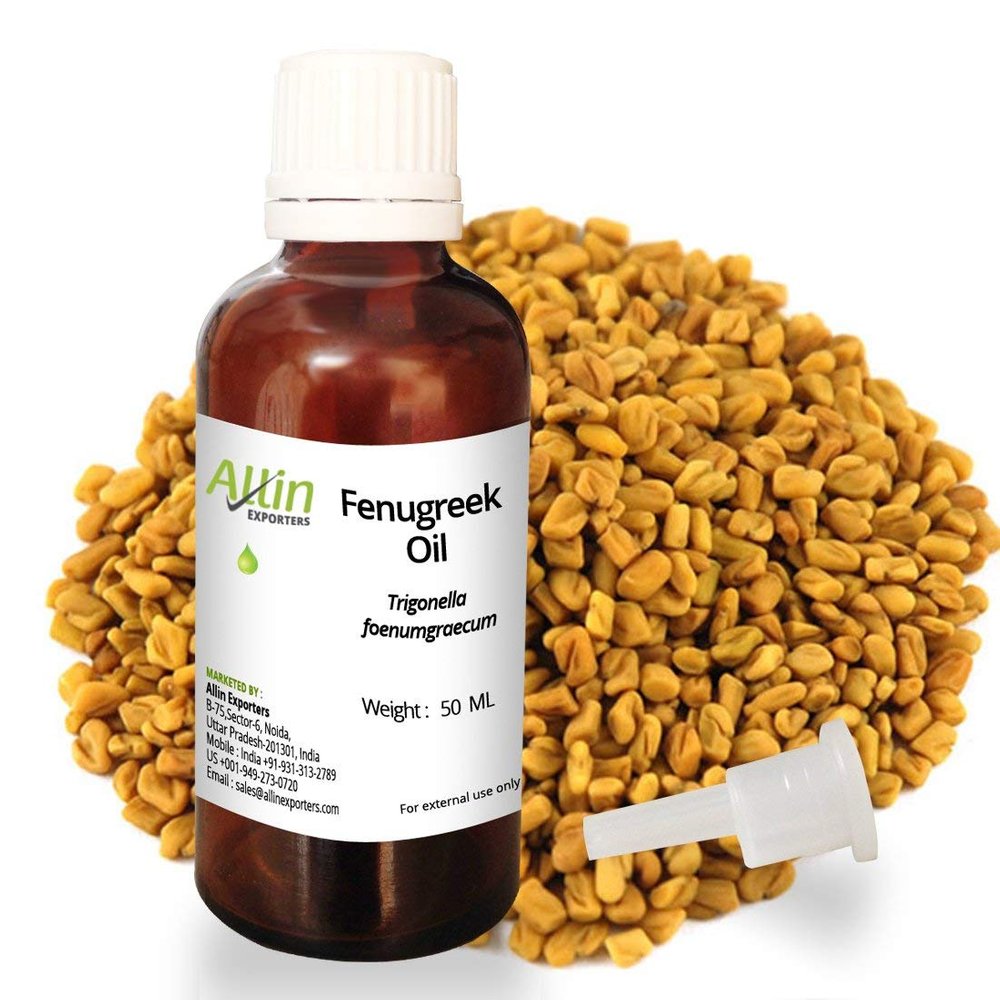Allin Exporters Fenugreek Oil (Co2 Extraction) - 100% Pure, Natural & Undiluted - 50 ML