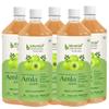 Bhumija Lifesciences Amla Juice 1L | Pure Indian Gooseberry Juice for Digestion, Detox & Gut Health | No Added Sugar (Pack of 5) view 1