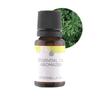 Aromazeia Citronella Essential Oil | Exotic Aroma Diffuser Oil | Ideal For Aromatherapy & Meditation | Organic Essential Oil | Undiluted, Therapeutic Grade & Steam Distilled - 10ml view 2