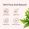 Aromazeia Citronella Essential Oil | Exotic Aroma Diffuser Oil | Ideal For Aromatherapy & Meditation | Organic Essential Oil | Undiluted, Therapeutic Grade & Steam Distilled - 10ml view 3