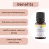 Aromazeia Citronella Essential Oil | Exotic Aroma Diffuser Oil | Ideal For Aromatherapy & Meditation | Organic Essential Oil | Undiluted, Therapeutic Grade & Steam Distilled - 10ml view 4