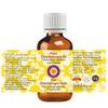 Deve Herbes Pure Chaulmoogra Oil (Hydnocarpus wightiana) | Cold Pressed | Natural | Undiluted | For Diluting Essential Oils | For Skin & Massage | Men & Women | 50ml view 2