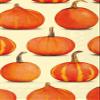 Ideal Home Range 16 Count Cream Pumpkin Party Paper Buffet Napkins, White view 1