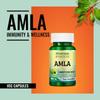 Morpheme Remedies Amla 500 mg - 60 Veg Capsules view 4